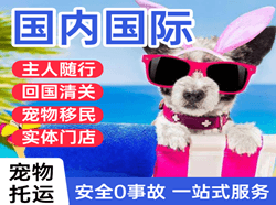 沈阳空运公司国际宠物托运 【国